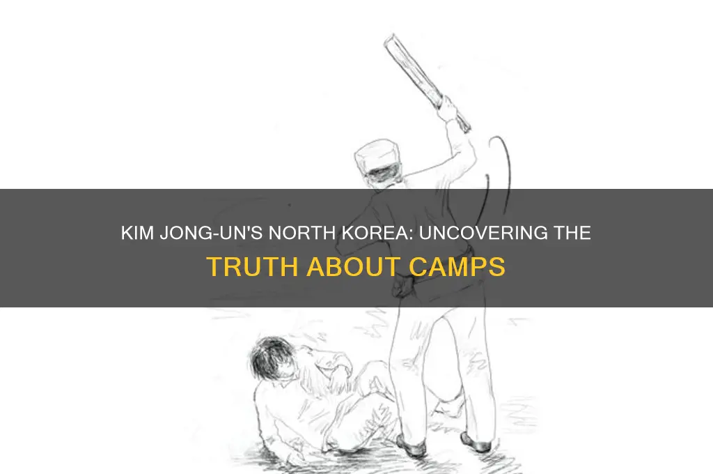did kim d build concentration camps
