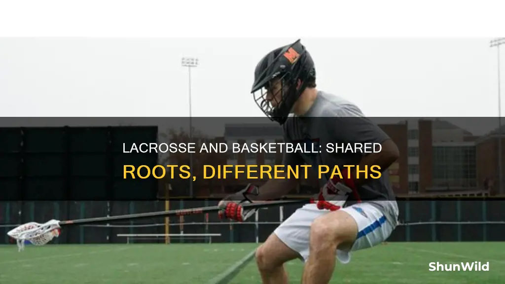 did lacrosse influence basketball