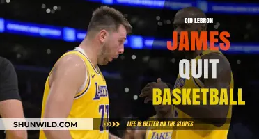 LeBron James: Retiring or Reigniting His Basketball Career?