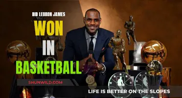 LeBron's Basketball Legacy: Champion or Not?