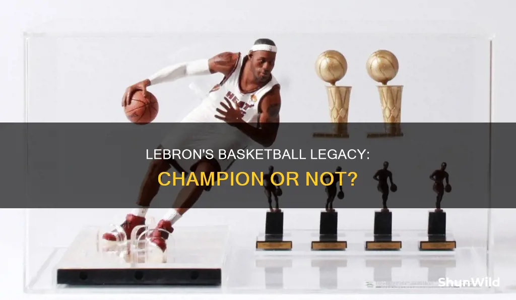 did lebron james won in basketball
