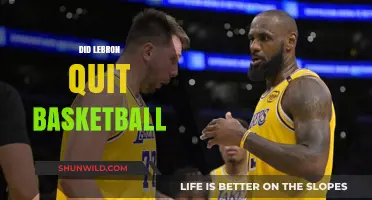 LeBron James: Retirement or Relocation?