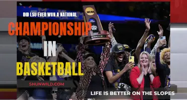 LSU's Basketball National Championship Dreams: Realized or Not?