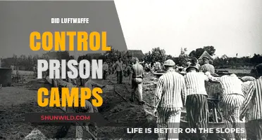 Luftwaffe's Role in Nazi Prison Camps: Fact or Fiction?