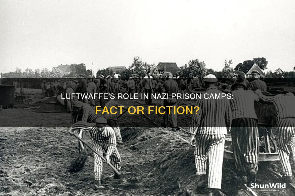 did luftwaffe control prison camps