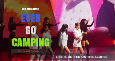 Mamamoo's Outdoor Adventures: Did They Ever Go Camping?