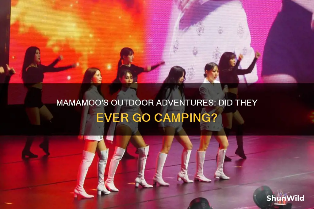 did mamamoo ever go camping