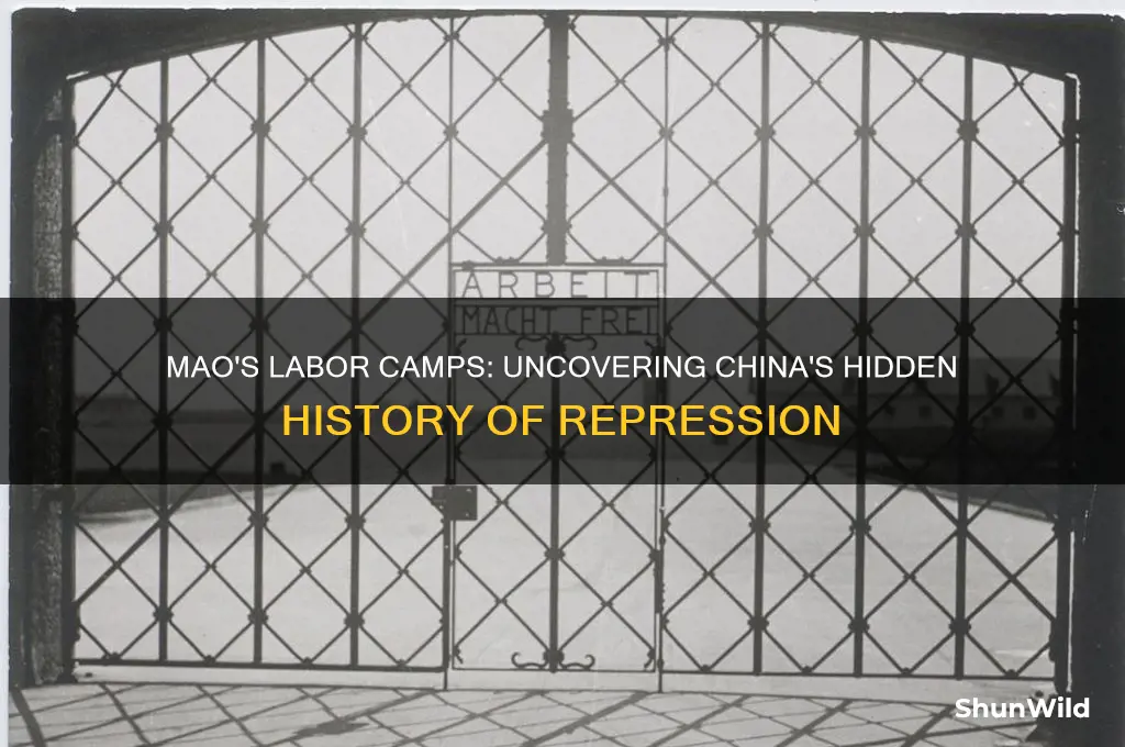did mao have concentration camps
