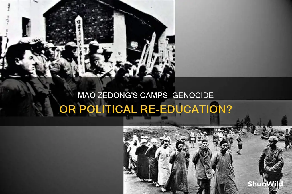 did mao zedong creat concentration camps to kill