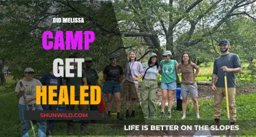 Melissa Camp's Healing Journey: Fact or Fiction?