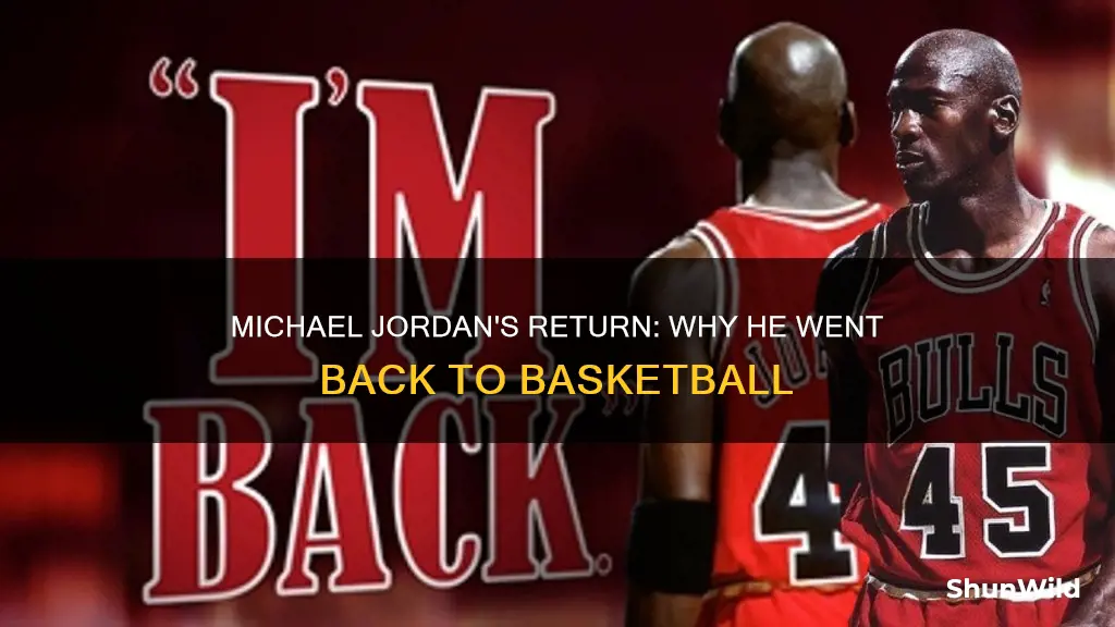 did michael jordan go back to basketball