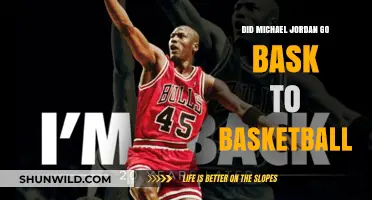 Michael Jordan's Basketball Comeback: A Second Chance?
