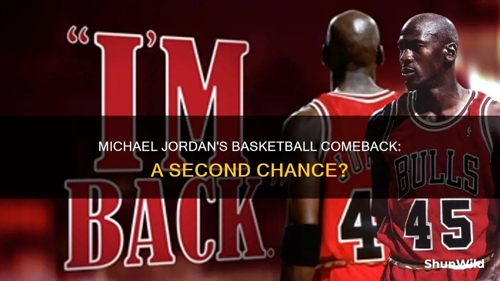 did michael jordan go bask to basketball