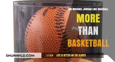 Michael Jordan: Baseball vs. Basketball Passion