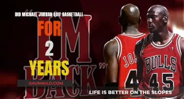 Michael Jordan's Two-Year Hiatus: A Basketball Enigma