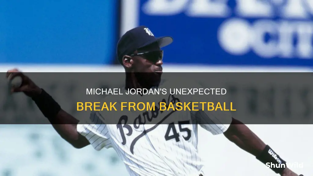 did michael jordan quit basketball for 2 years