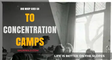 Miep Gies' Fate: Did She Endure Concentration Camps?
