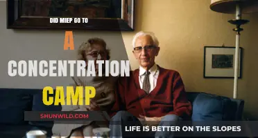 Miep Gies' Fate: Did She Endure a Concentration Camp?
