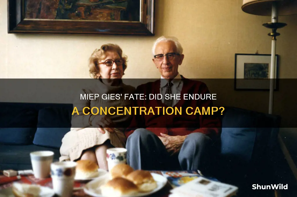 did miep go to a concentration camp