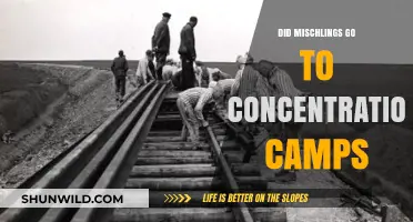 Mischlings in Concentration Camps: Uncovering the Hidden History