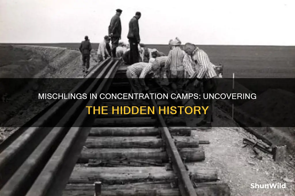 did mischlings go to concentration camps