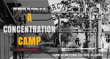 Moische the Beadle's Fate: Concentration Camp Reality Explored