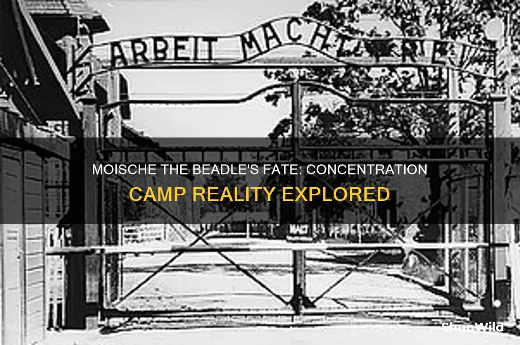 did moishe the beadle go to a concentration camp