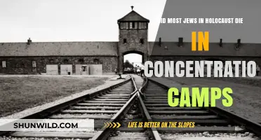 Holocaust Deaths: Were Concentration Camps the Primary Killing Sites?