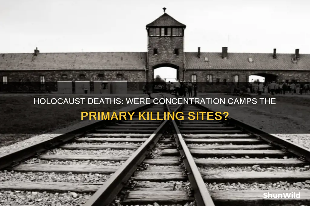 did most jews in holocaust die in concentration camps