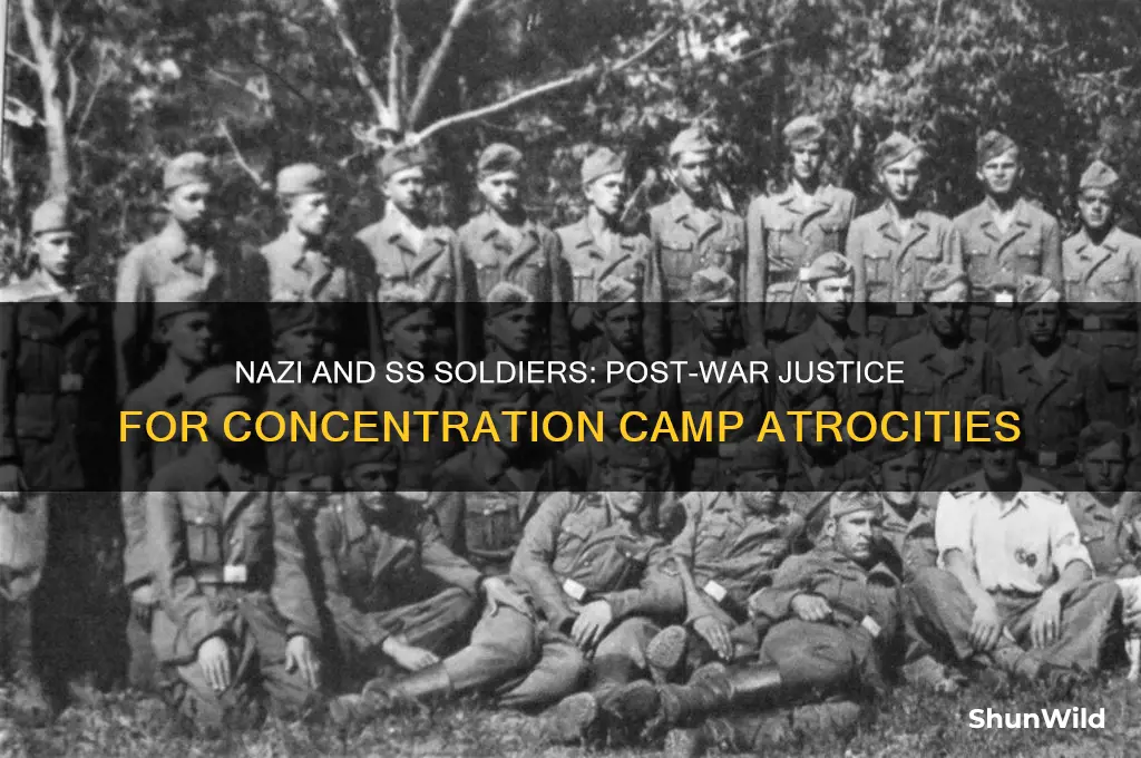 did nazi and ss soilders get punshied after concentration camps