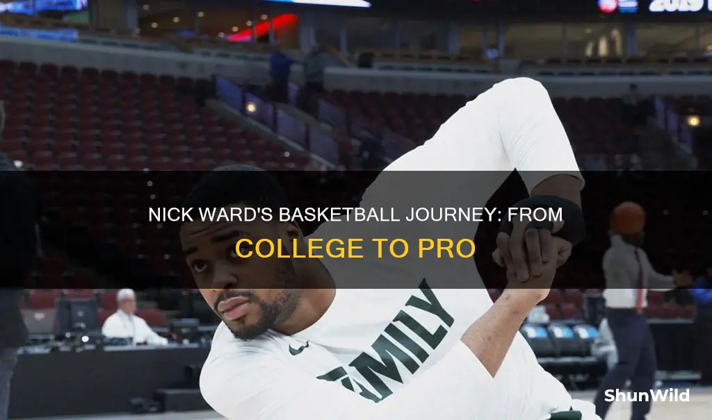 did nick ward go professional basketball