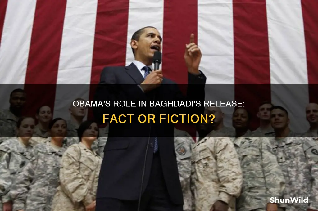 did obama let baghdadi out of concentration camp