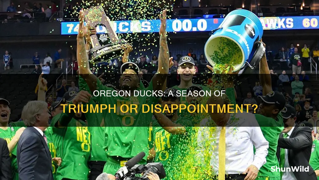 did oregon ducks basketball win