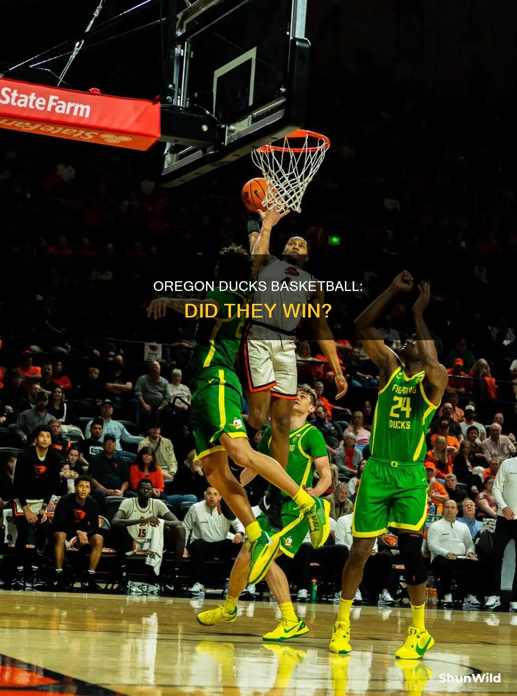 did oregon ducks basketball win