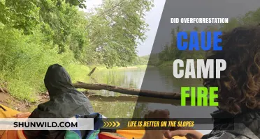 Overforestation's Role in the Devastating Camp Fire: Uncovering the Truth