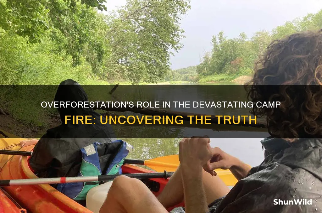 did overforrestation caue camp fire