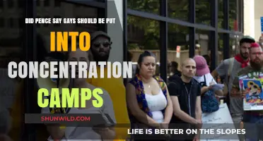 Pence's Stance on LGBTQ+ Rights: Concentration Camps Allegation Examined