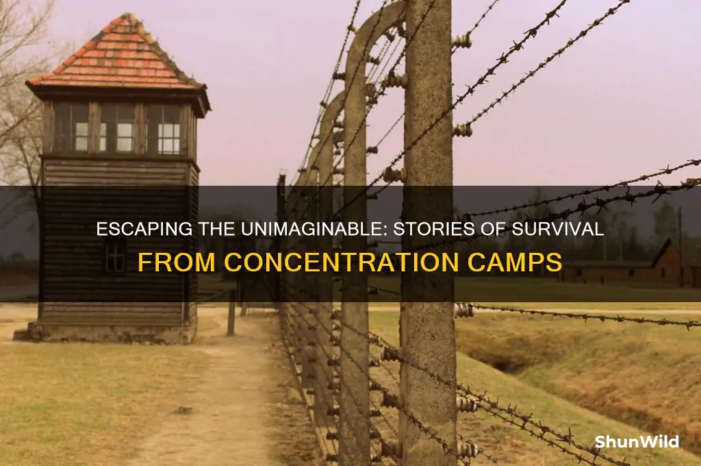did people successfully dig out of concentration camps