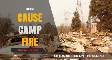 Did PG&E's Negligence Spark the Devastating Camp Fire?