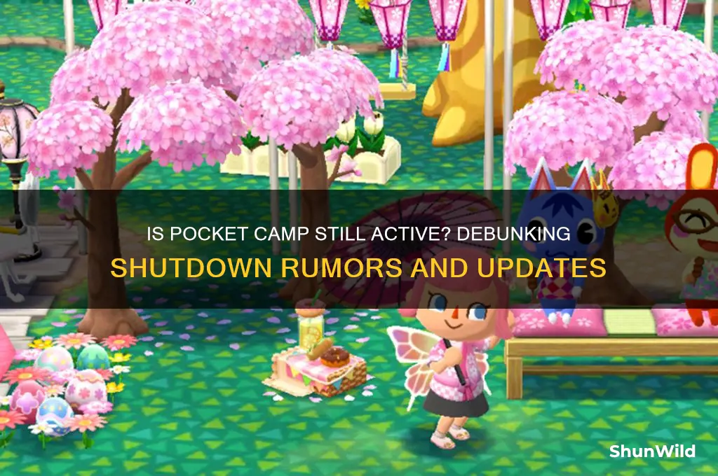 did pocket camp shut down