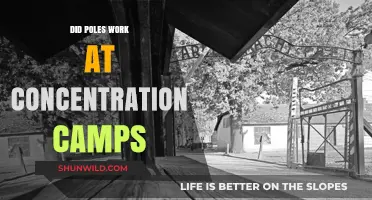 Poles in Concentration Camps: Forced Labor and Collaboration Explored