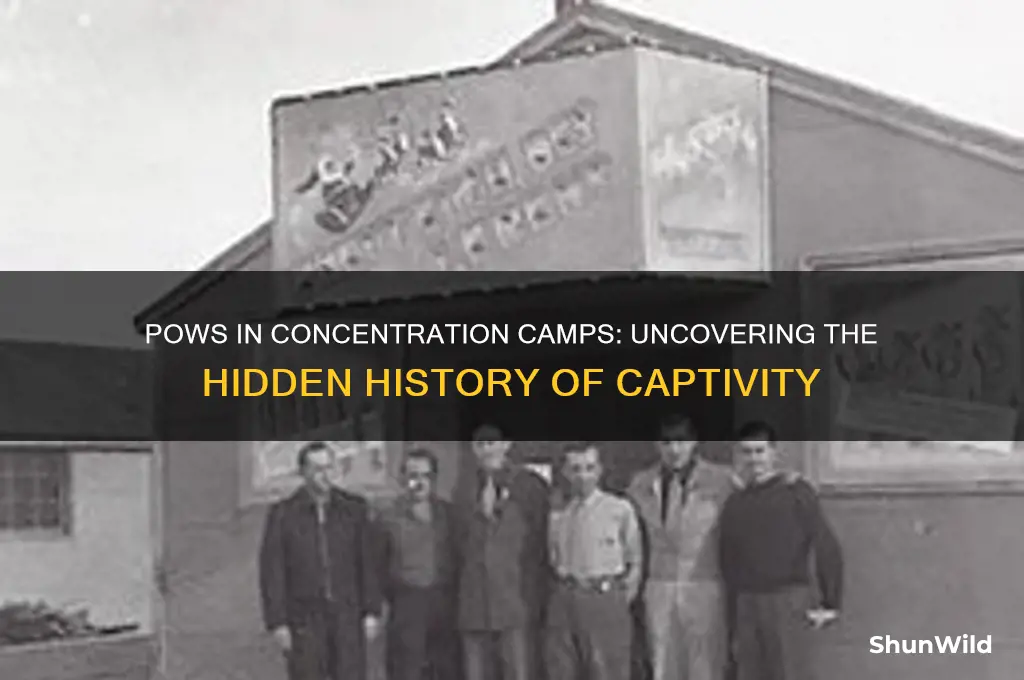did pows go to concentration camps