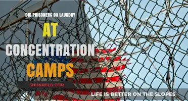 Prisoner Laundry Labor: Uncovering Concentration Camp Forced Labor Practices