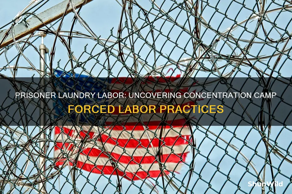 did prisoners do laundry at concentration camps