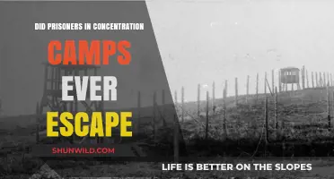 Escaping the Unimaginable: Concentration Camp Prisoners' Daring Escape Attempts
