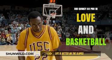 Love and Basketball: Quincy's Professional Journey