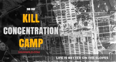 RAF's Role in Bombing Nazi Concentration Camps: Fact or Fiction?