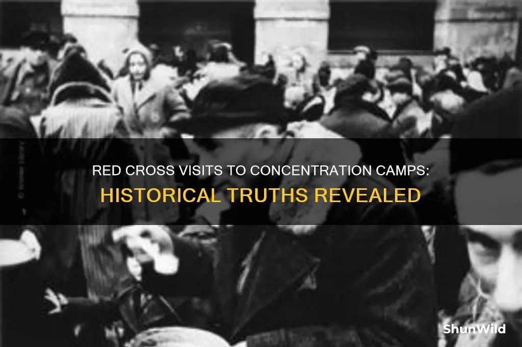 did red cross visit concentration camps