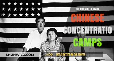 Roosevelt's Role in Chinese Concentration Camps: Historical Truth Revealed