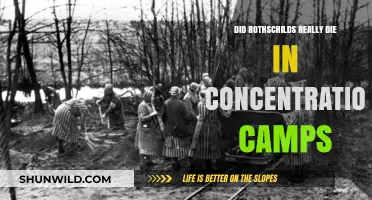 Rothschilds and the Holocaust: Separating Fact from Fiction in Concentration Camps